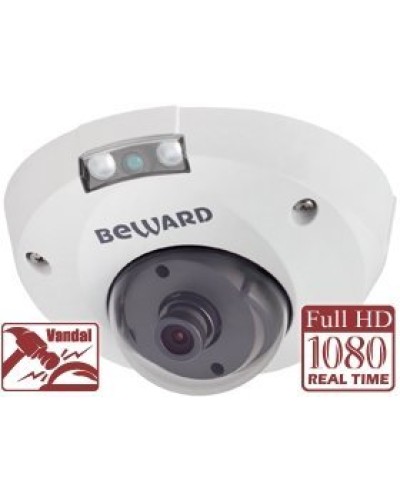 NK55630D8. IP-камера купольная. Beward в Евпатории