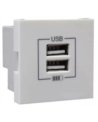 Розетка USB двойная, зарядная, белая (45439 SBR): Розетка USB двойная в Евпатории