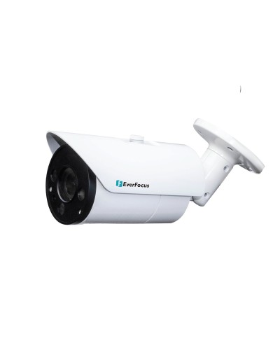 EZN-268V. Видеокамера IP купольная. EverFocus в Евпатории