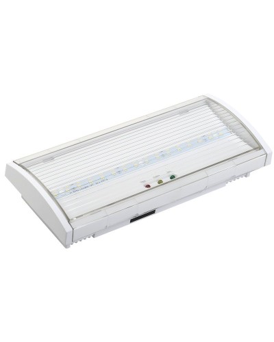 Светильник аварийный ДПА 5040-3 3ч IP54 LIGHTING (LDPA0-5040-3H-K01). Светильник аварийный постоянного действия. IEK в Евпатории