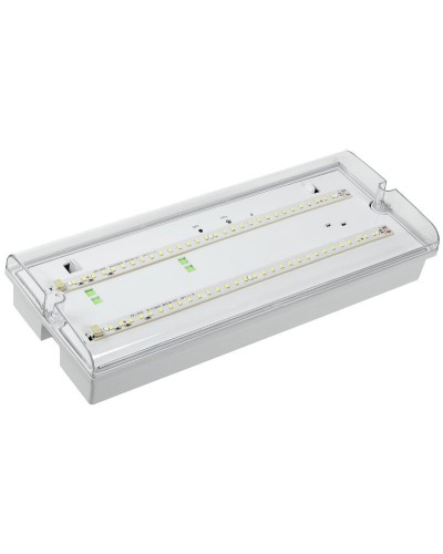 Светильник аварийный ДПА 5042-3 3ч IP65 LIGHTING (LDPA0-5042-3-65-K01). Светильник аварийный универсальный. IEK в Евпатории
