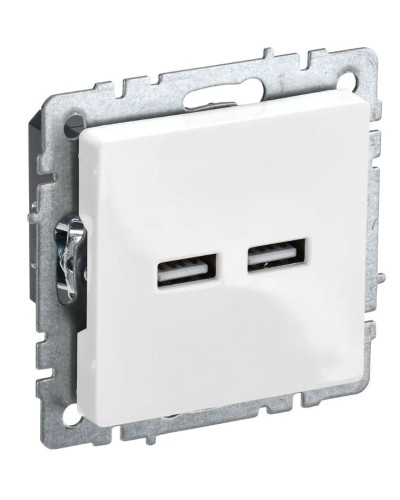 Розетка USB A+A 3,1А РЮ10-1-БрБ белый BRITE (BR-U21-D31-K01). Розетка USB. IEK в Евпатории