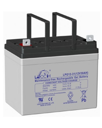 LEOCH LPG 12-31. Аккумулятор герметичный свинцово-кислотный. LEOCH в Евпатории