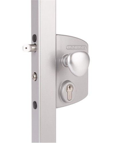 LIKQ4040 U2L (цвет: RAL 9005, черный). Замок электромеханический для калиток. Locinox в Евпатории
