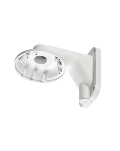 RVi-1BWM-5 white. Кронштейн настенный. RVi в Евпатории