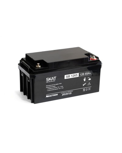 SKAT SB 1265 (2541). Аккумулятор герметичный свинцово-кислотный. Бастион в Евпатории
