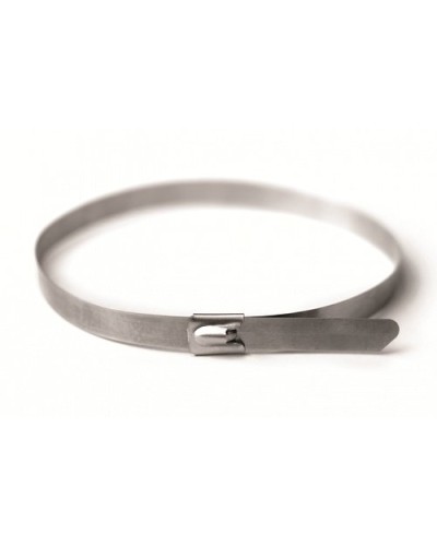 Хомут из нержавеющей стали AISI 316 8х600 (20 шт) (27616): Хомут из нержавеющей стали в Евпатории