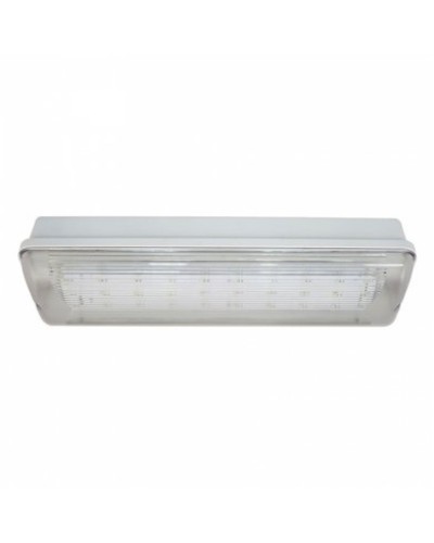 SL-213-30LED1.8 исп.1 IP54. Светильник аварийного освещения. ИП Раченков А.В. в Евпатории
