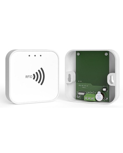 RFID-TM. Считыватель RFID. Ритм в Евпатории